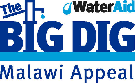 BD_Lscape_lockup_DkBlue_Malawi