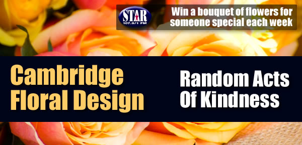 New Banner For Web